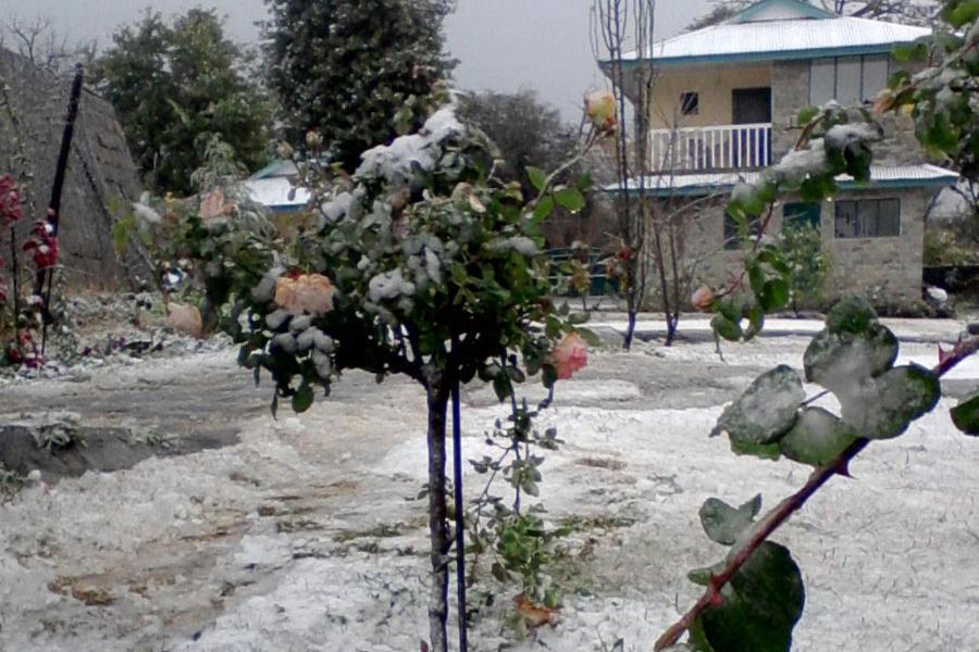 Nagri Resort Pālampur Exterior foto