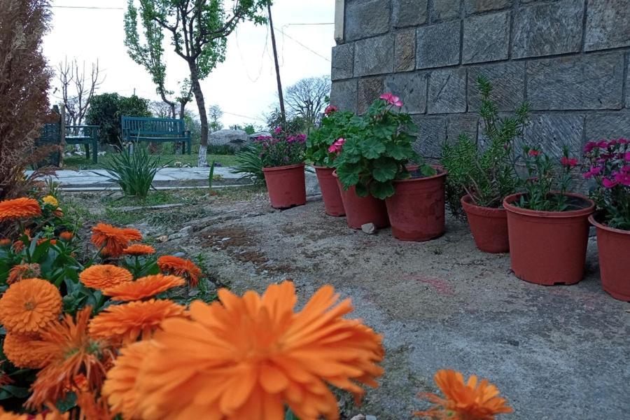 Nagri Resort Pālampur Exterior foto